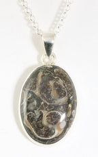 Ovale zilveren hanger met turritella agaat aan ketting afbeelding 1