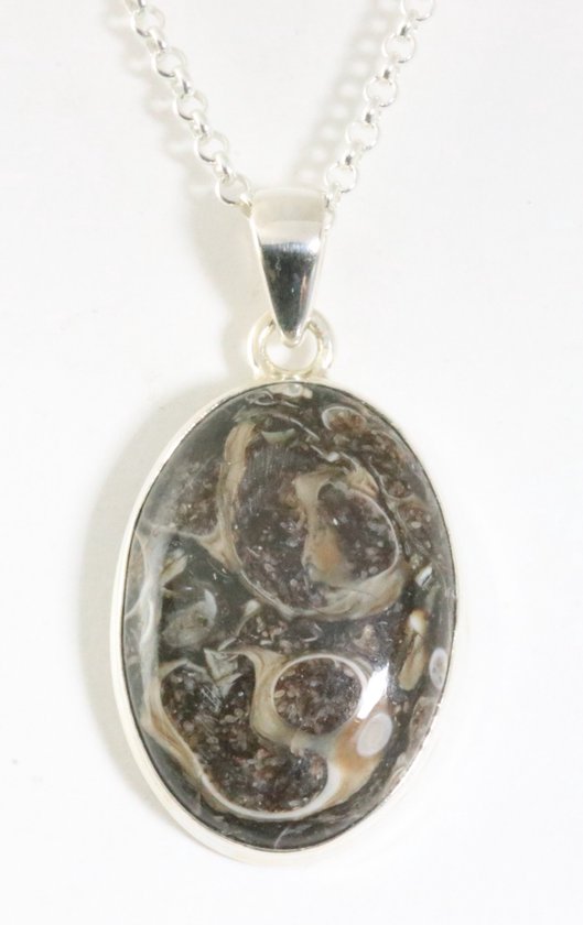 Ovale zilveren hanger met turritella agaat aan ketting afbeelding 1