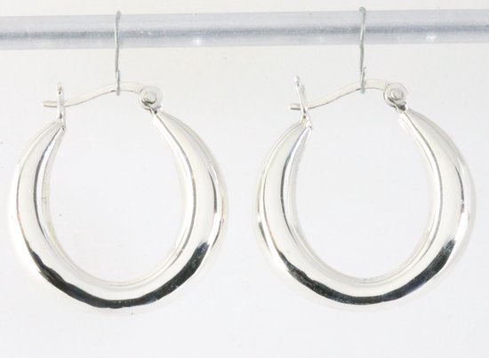 Hoogglans zilveren oorringen afbeelding 1