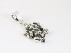 Fijne zilveren Ganesha hanger afbeelding 2