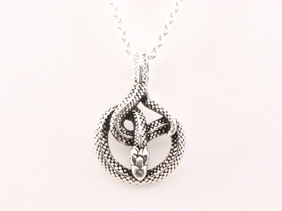 Zilveren slang hanger aan ketting afbeelding 4