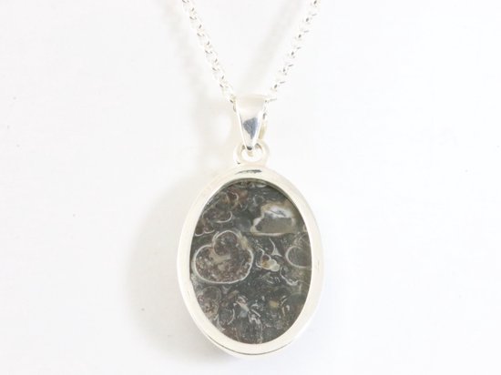 Ovale zilveren hanger met turritella agaat aan ketting afbeelding 3
