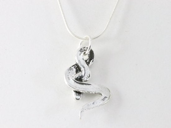 Zilveren slang hanger aan ketting afbeelding 3