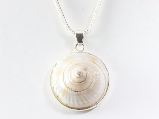 Grote ronde zilveren hanger met nautilus schelp aan vossenstaart ketting afbeelding 4
