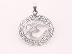 Grote ronde zilveren hanger met ohm teken afbeelding 3