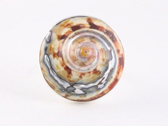 Ronde zilveren ring met Afrikaanse abalone schelp afbeelding 3