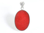 Ovale zilveren hanger met zeepaardje op rode koraal steen afbeelding 3