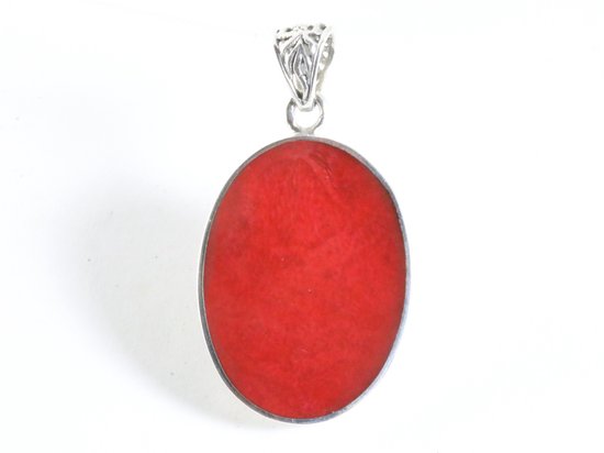 Ovale zilveren hanger met zeepaardje op rode koraal steen afbeelding 3