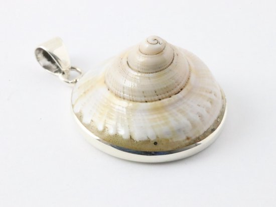 Grote ronde zilveren hanger met nautilus schelp aan vossenstaart ketting afbeelding 2