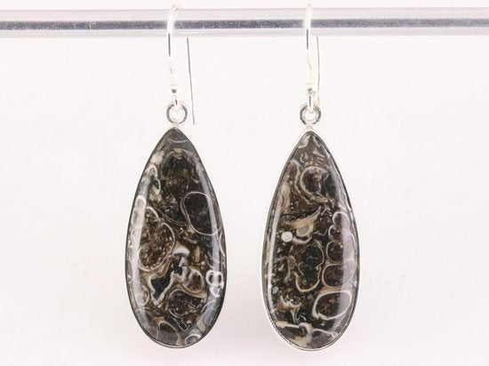 Lange druppelvormige zilveren oorbellen met turitella agaat afbeelding 4