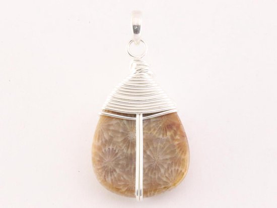 Zilveren hanger met fossiel koraal steen afbeelding 3