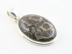 Ovale zilveren hanger met turritella agaat aan ketting afbeelding 2