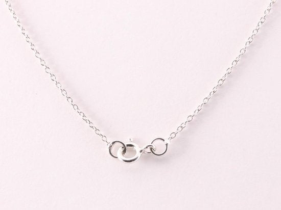 Fijne zilveren anker ketting met robijn afbeelding 2