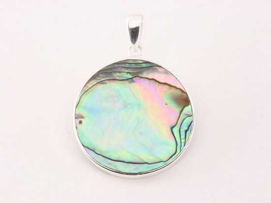 Ronde zilveren hanger met levensboom op abalone schelp afbeelding 3