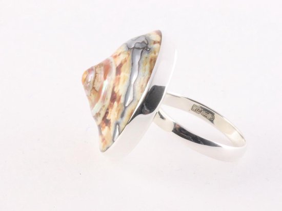Ronde zilveren ring met Afrikaanse abalone schelp afbeelding 4