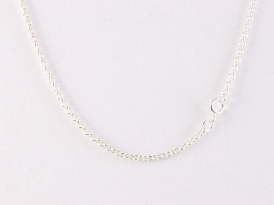 Zilveren hanger met blauwe palm kwarts aan jasseron ketting afbeelding 5