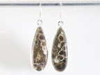 Lange zilveren oorbellen met turitella agaat afbeelding 4