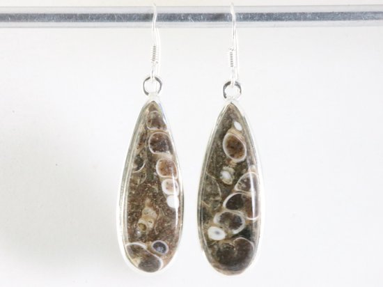 Lange zilveren oorbellen met turitella agaat afbeelding 4