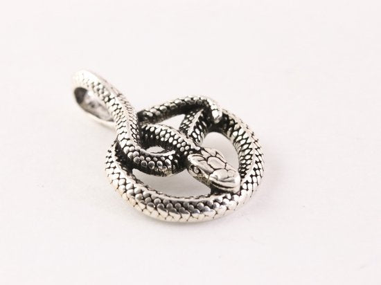 Zilveren slang hanger aan ketting afbeelding 2