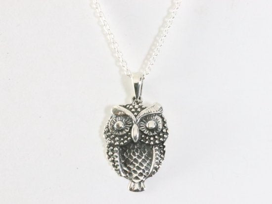 Zilveren uil hanger aan ketting afbeelding 4