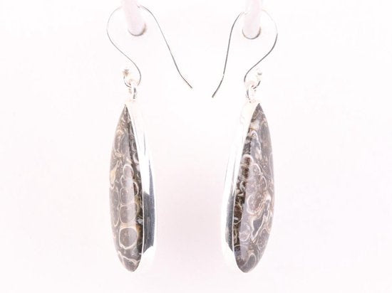 Lange druppelvormige zilveren oorbellen met turitella agaat afbeelding 2