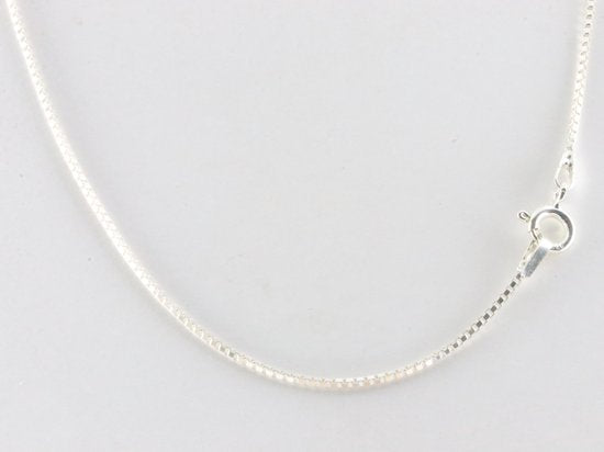 Hoogglans zilveren hanger met abalone schelp aan ketting afbeelding 5