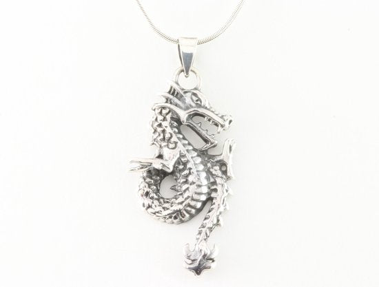 Zilveren draak hanger aan ketting afbeelding 1