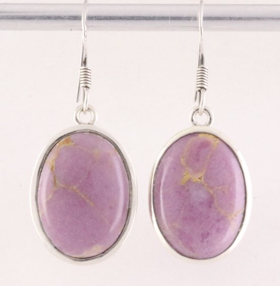 Ovale zilveren oorbellen met fosfosideriet afbeelding 1