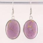 Ovale zilveren oorbellen met fosfosideriet afbeelding 1