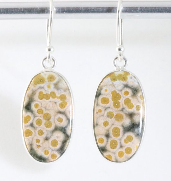 Ovale zilveren oorbellen met oceaan jaspis afbeelding 1