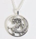 Grote zilveren draak hanger aan ketting afbeelding 1