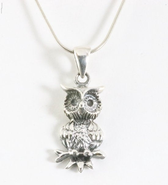 Zilveren uil hanger aan ketting afbeelding 1