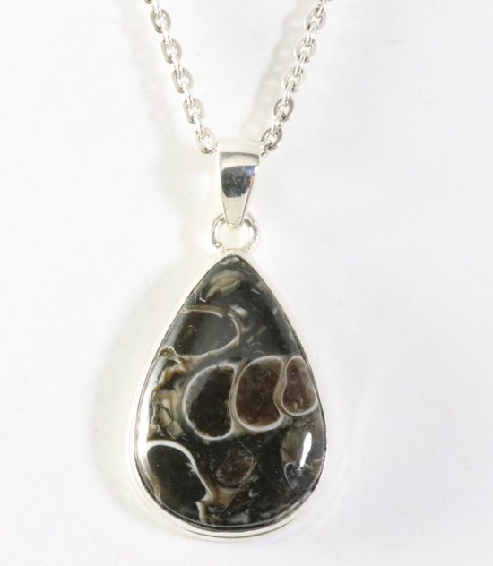 Zilveren hanger met turitella agaat aan ketting afbeelding 1