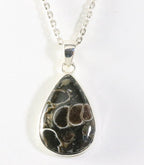 Zilveren hanger met turitella agaat aan ketting afbeelding 1