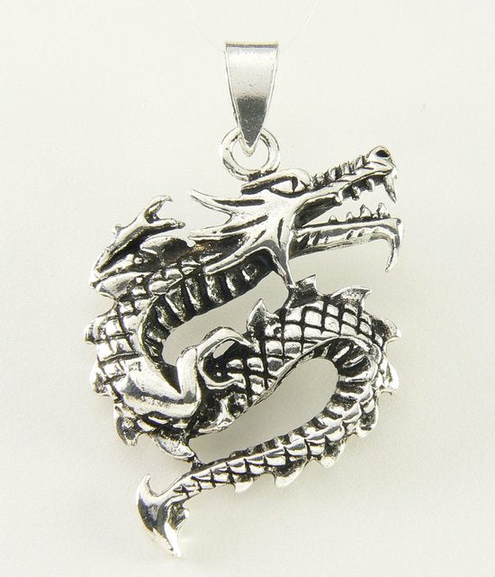 Zilveren draak hanger afbeelding 1