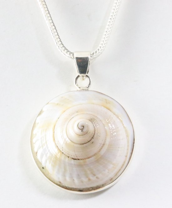 Grote ronde zilveren hanger met nautilus schelp aan vossenstaart ketting afbeelding 1