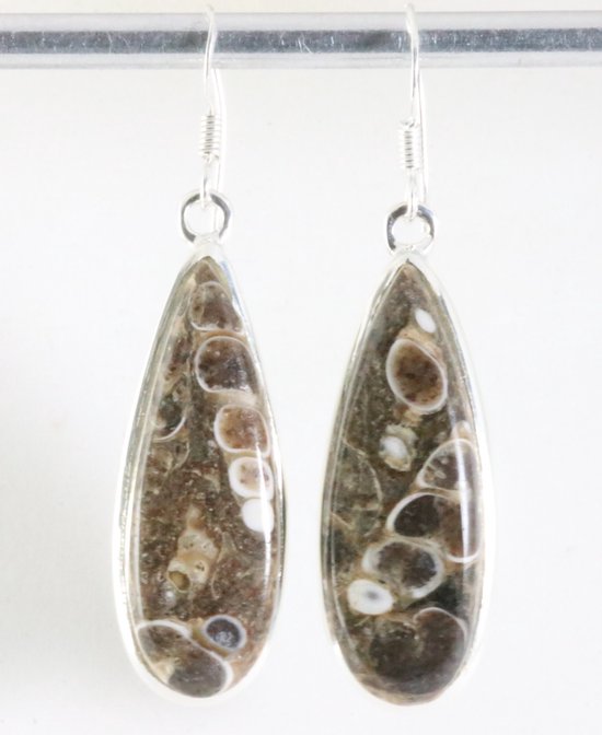 Lange zilveren oorbellen met turitella agaat afbeelding 1