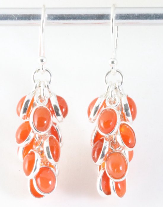 Trosvormige zilveren oorbellen met carneool afbeelding 1