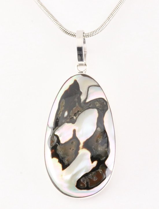 Zilveren hanger met Mexicaanse abalone schelp aan snake ketting afbeelding 1