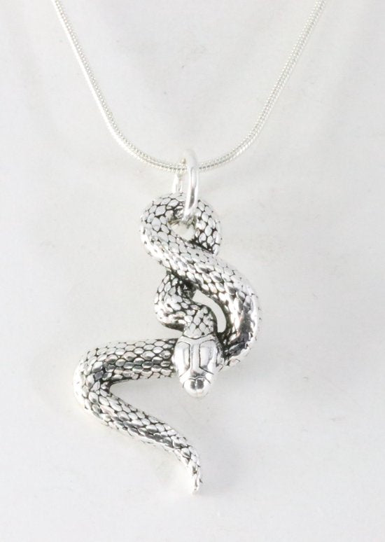 Zilveren slang hanger aan ketting afbeelding 1