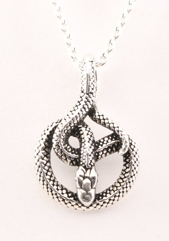 Zilveren slang hanger aan ketting afbeelding 1