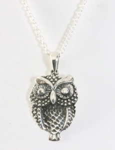 43382+HK Zilveren uil hanger aan ketting