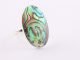 22543 Ovale zilveren ring met abalone schelp