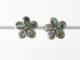 51692 Bloemvormige zilveren oorstekers met abalone schelp