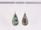 51972 Druppelvormige zilveren oorbellen met abalone schelp