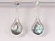 53984 Druppelvormige hoogglans zilveren oorstekers met abalone schelp